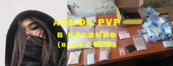 мяу мяу мука Баксан